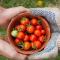 Non-Profit Organizations in Los Angeles County: What Resources Do They Provide to Their Communities?