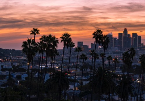 Exploring the Successes and Challenges of Non-Profit Organizations in Los Angeles County