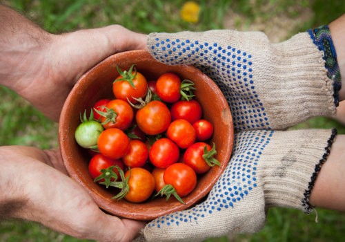 Non-Profit Organizations in Los Angeles County: What Resources Do They Provide to Their Communities?